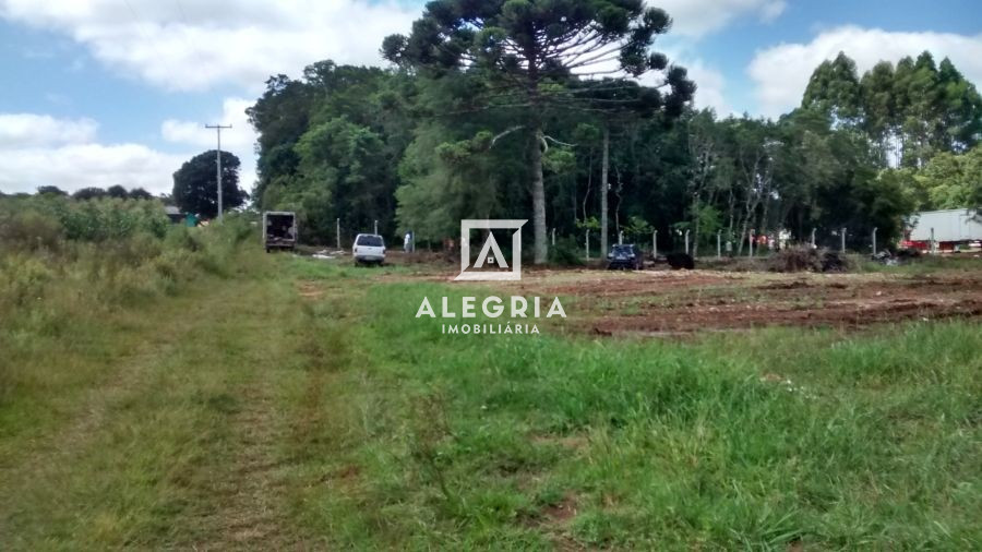 Chácara no Caminho do Vinho em São José dos Pinhais
