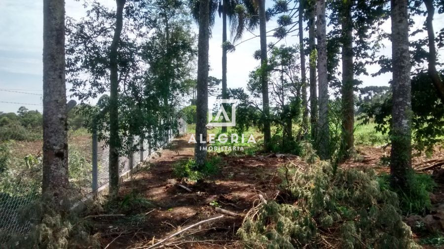 Chácara no Caminho do Vinho em São José dos Pinhais