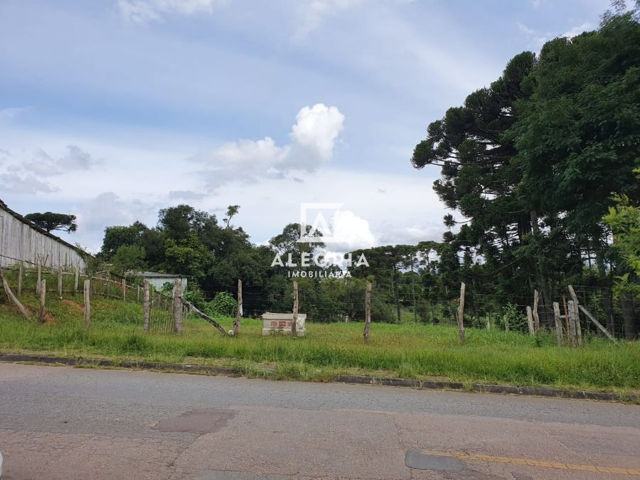 Excelente Terreno ao Lado da Santa da Col. Murici em São José dos Pinhais