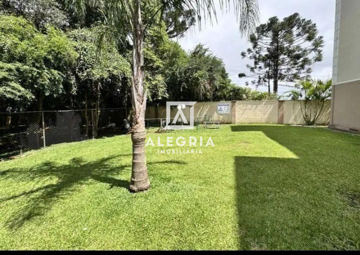 Lindo Apartamento no Bairro Boneca do Iguaçu em São José dos Pinhais