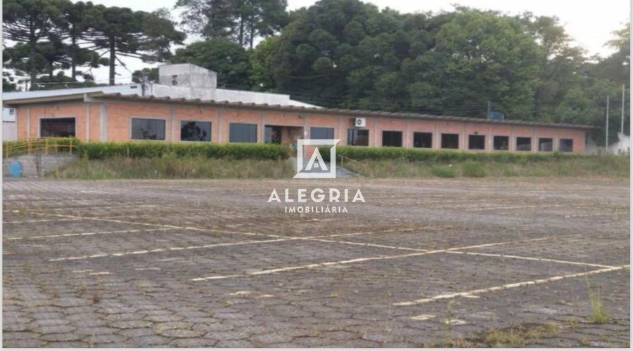 Terreno com Galpão as margens da BR 277 em São José dos Pinhais