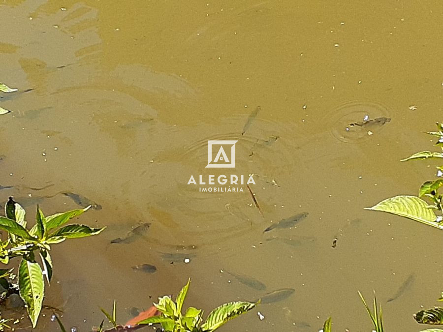 Excelente Chácara na Colonia Murici em São José dos Pinhais