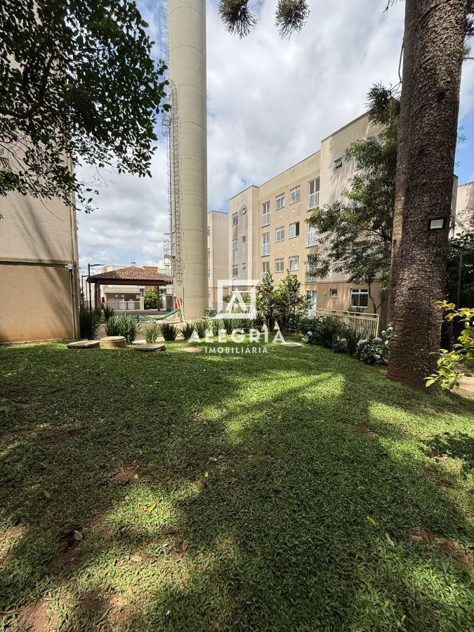 Lindo Apartamento no Bairro Braga em São José dos Pinhais