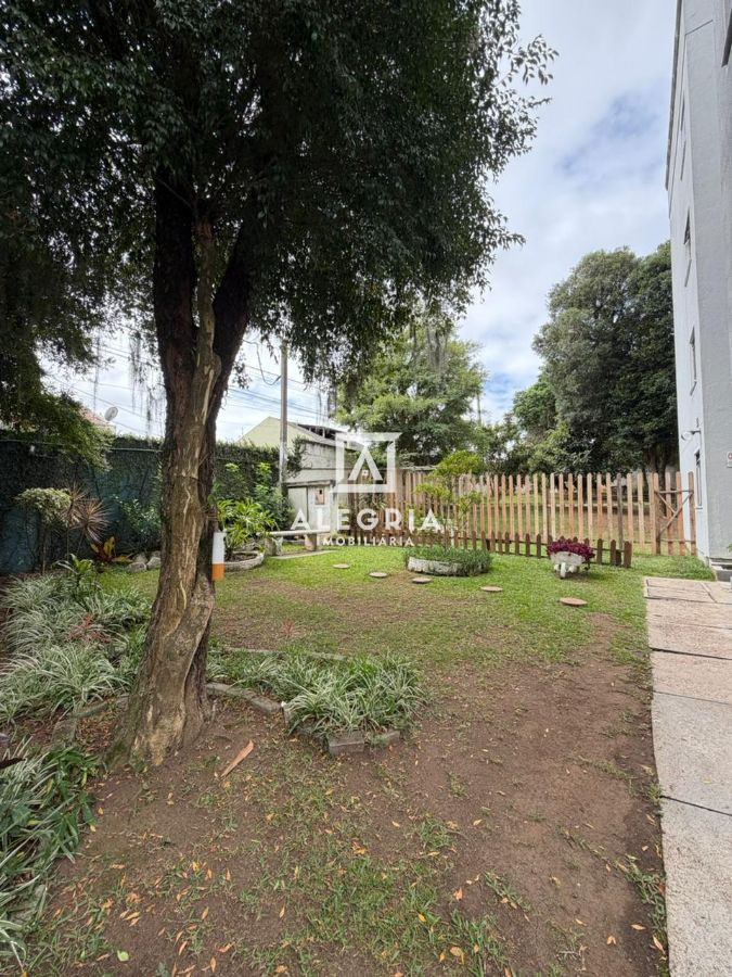 Lindo Apartamento no bairro Bom Jesus em São José dos Pinhais